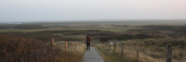 JasperMeya Profile Banner