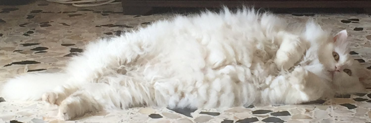 PrincessKoenig's profile banner image