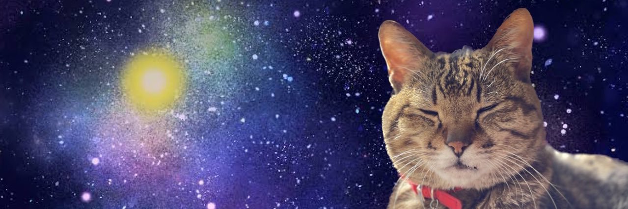 nyantaaaro's profile banner image