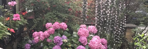 jvanathu Profile Banner