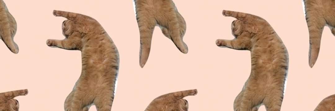 แก้ไข ≠ ล้มล้าง 🐱🐈😽 banner