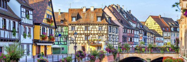 MichelF29015597 Profile Banner