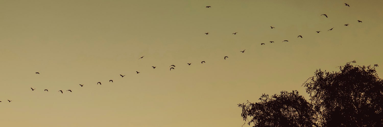 NNathanMota's profile banner image
