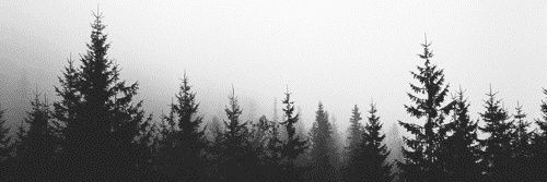 TheBrokenViking's profile banner image