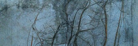 wgalesco's profile banner image