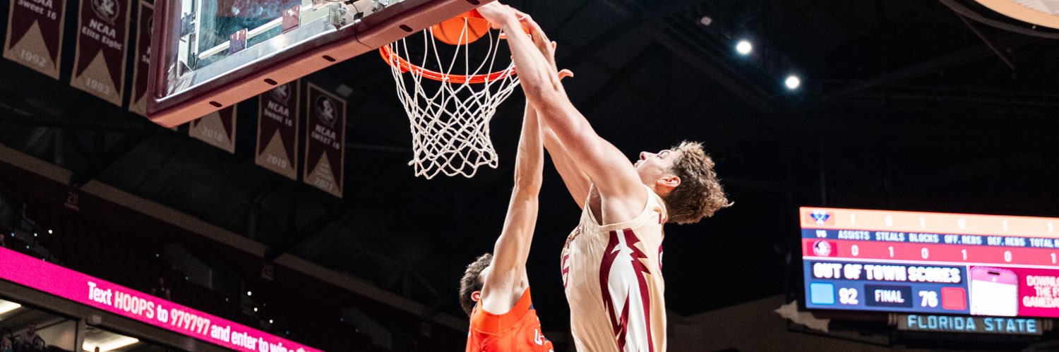alex steen banner