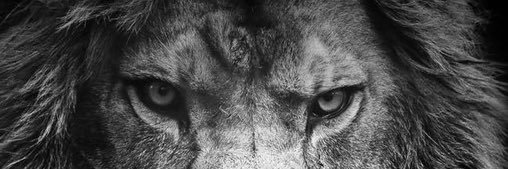 Yz549's profile banner image
