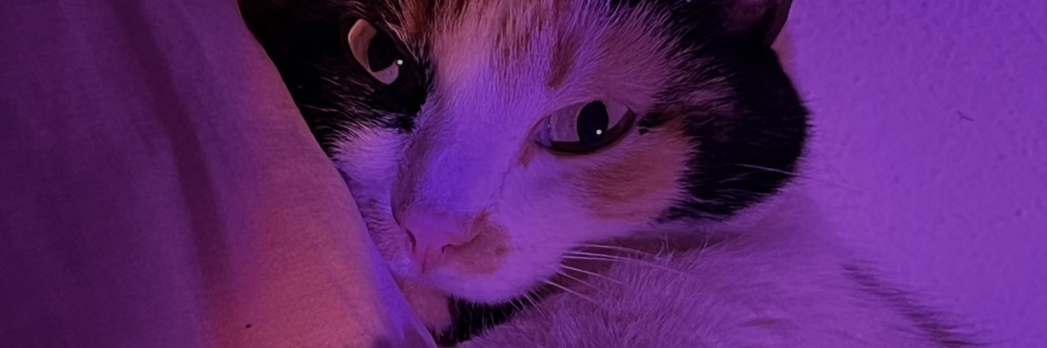 luananahh's profile banner image