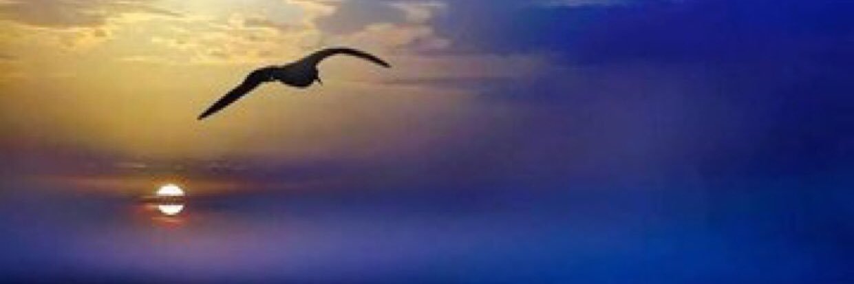 )٨(OHA)٨( ED banner