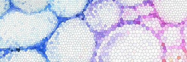 ArtSci_ARP Profile Banner