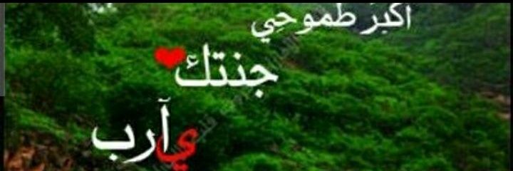 وماتوفيقي إلا بالله banner