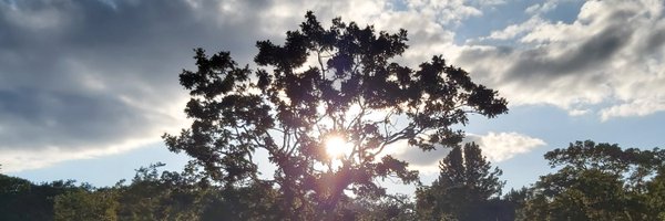 meaning_enjoyer Profile Banner