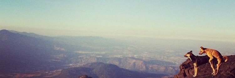 MinieGab's profile banner image