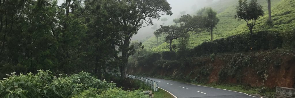 Anisbpt's profile banner image