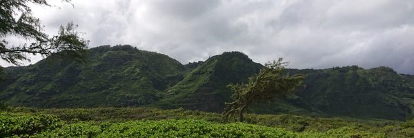 ElswoodsLife Profile Banner