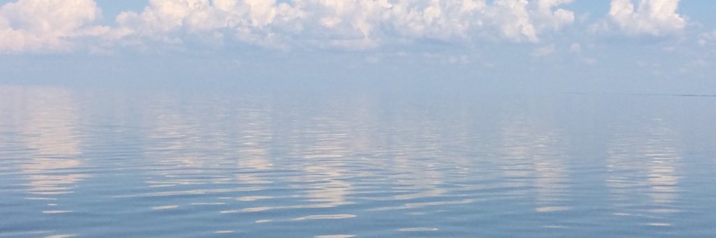 Melody_Muse's profile banner image