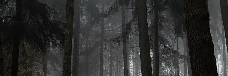 b3stpr0xy's profile banner image