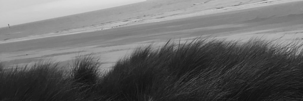 michvanmaele's profile banner image