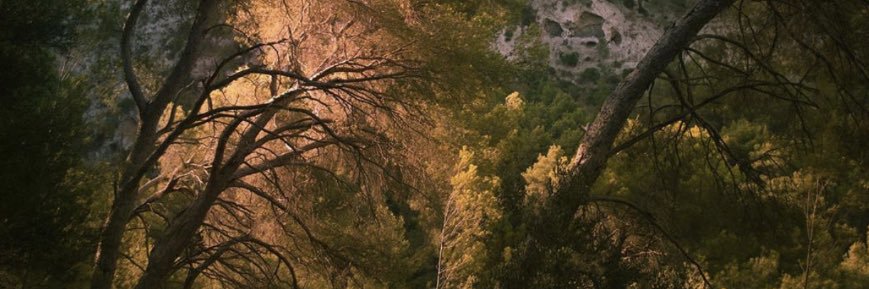 ilabc3's profile banner image