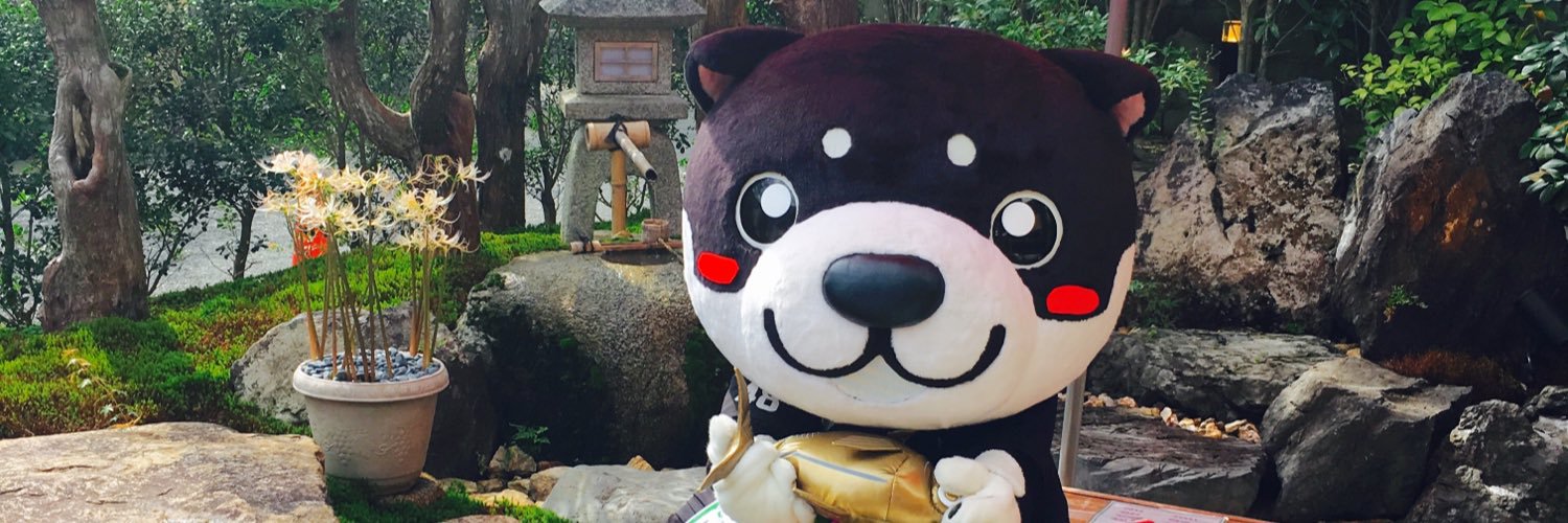 pipipitapasmo's profile banner image