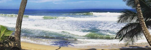 LexPerk Profile Banner