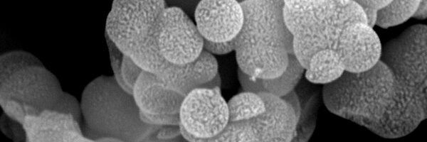 ParpolPK Profile Banner