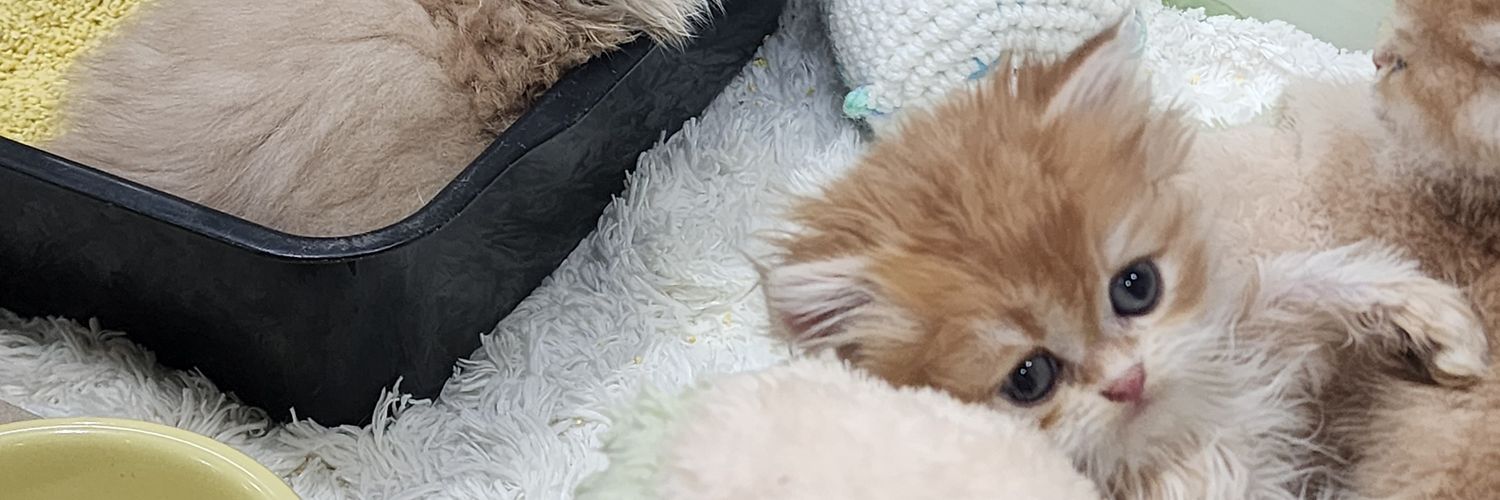 🤱🏻 banner