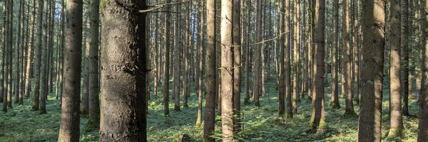 lucasmiranda422 Profile Banner