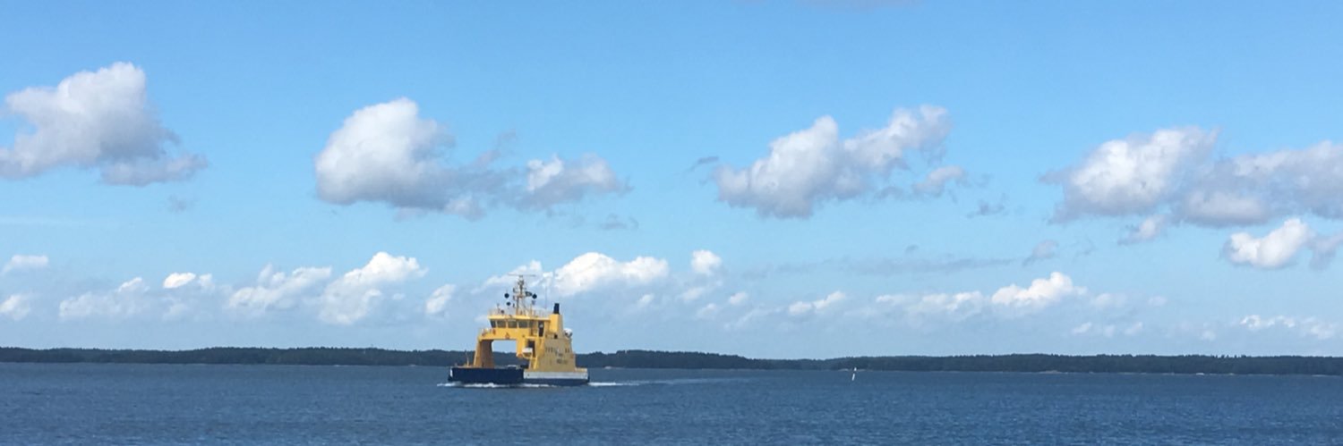 Minna Manelius banner