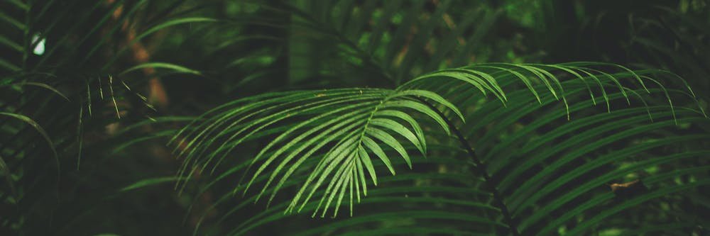 Fedel05932183's profile banner image