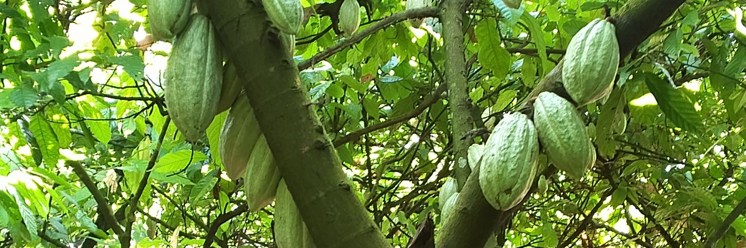 beesking11's profile banner image