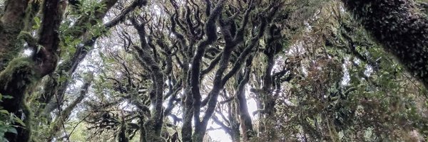 JaanParn Profile Banner