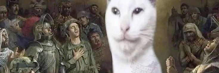 caanless's profile banner image