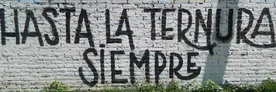 limagonzalez's profile banner image