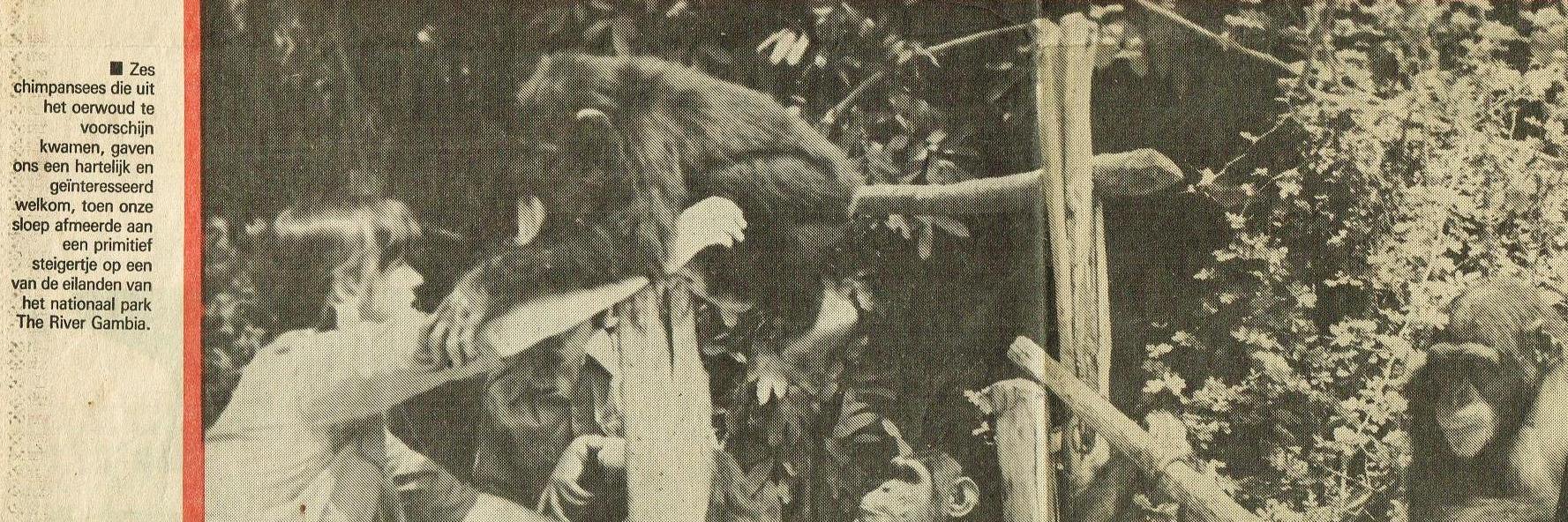 Dr Jackie Le Fevre banner