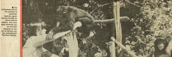 MagmaEffect Profile Banner