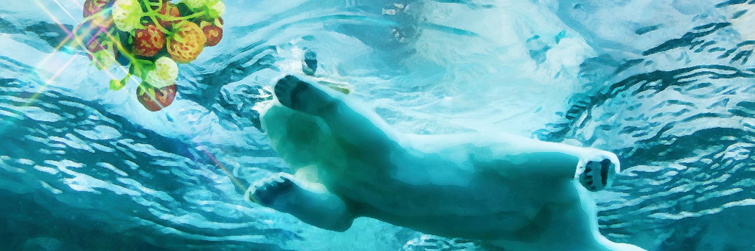 BerryforBears's profile banner image