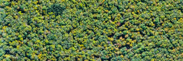 BioclimGoe Profile Banner