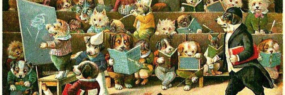 the_readcat's profile banner image