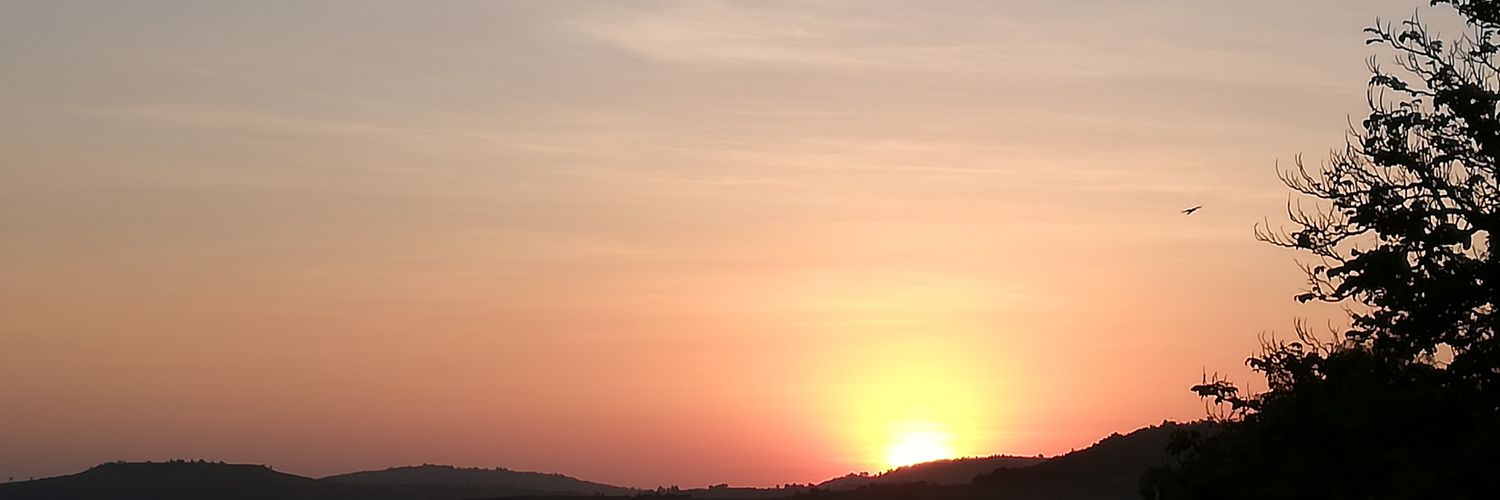 Genene08252825's profile banner image