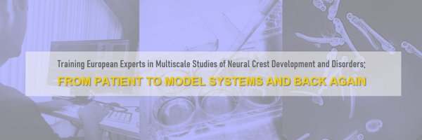INeucrest Profile Banner