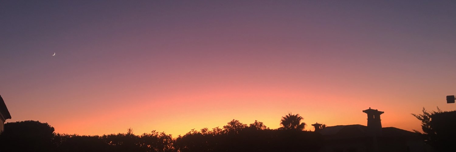 Heidi Mattocks banner