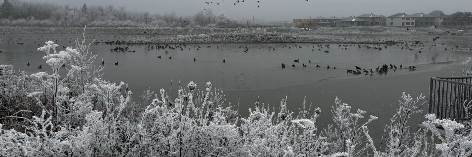 Nick (Positive Investing) banner