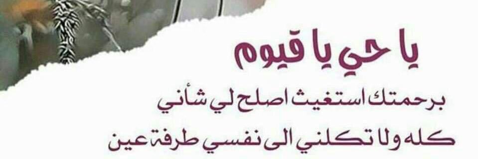 tayed45754078's profile banner image