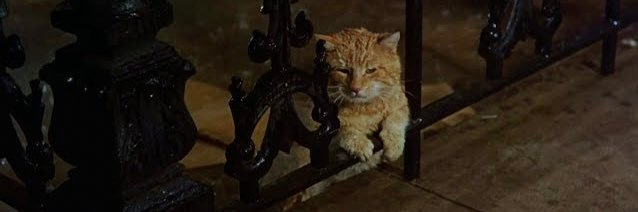 Alex Marshall banner