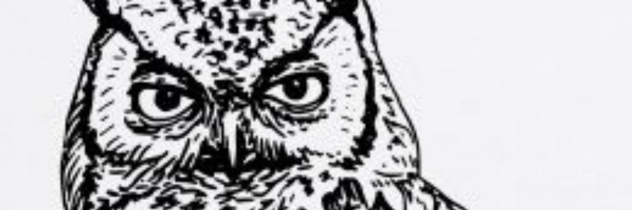 DamienJB's profile banner image