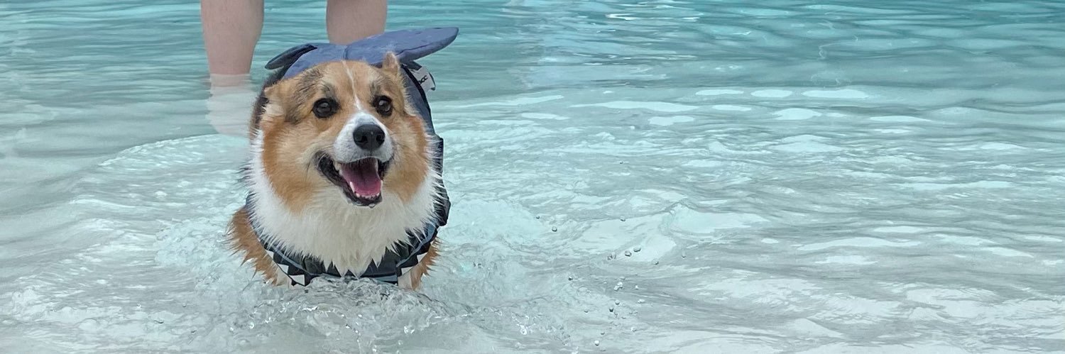 Becky Xiangyu Peng banner