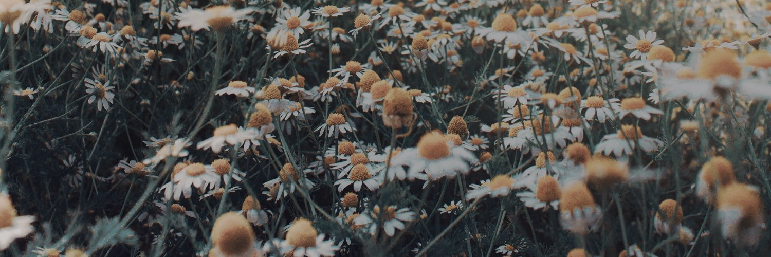 daniellebraunKW's profile banner image