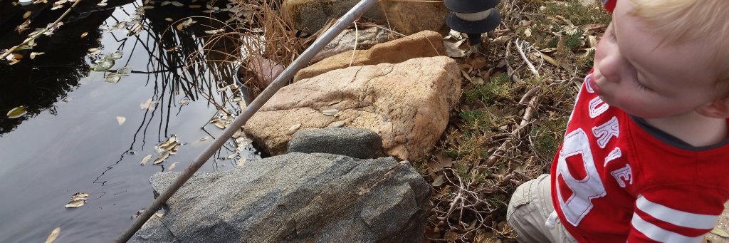 Marcy Brown Marsden banner