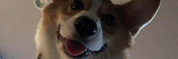 DuskAD2 Profile Banner